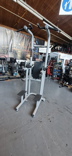 Technogym chin dip - chin, leg