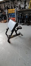 Technogym Preacher Curl Bench
