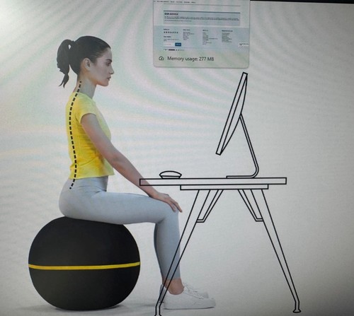 Technogym wellness ball active - technogym,